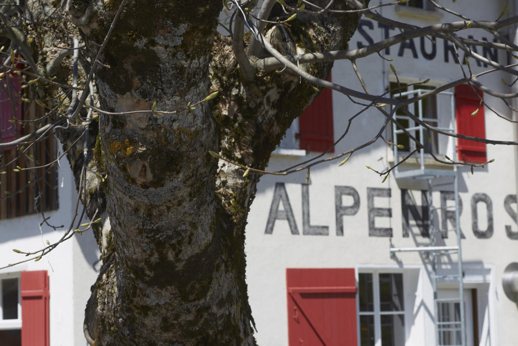 Alpenrose Gadmen - Gasthaus מראה חיצוני תמונה